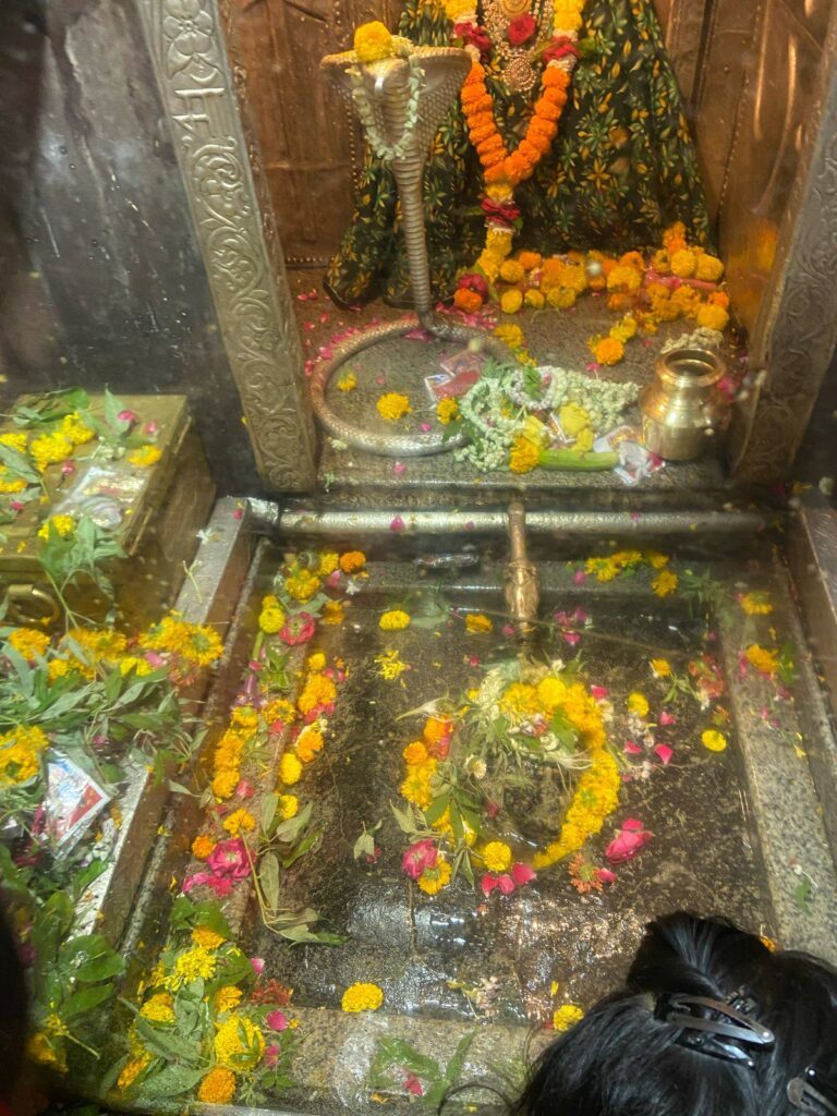 491385356_2009946106164316_2793557039816057391_n