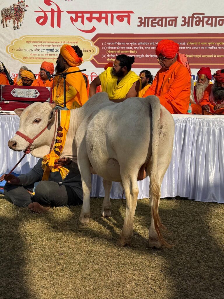 616831516_2236227160202875_7483976769248663708_n